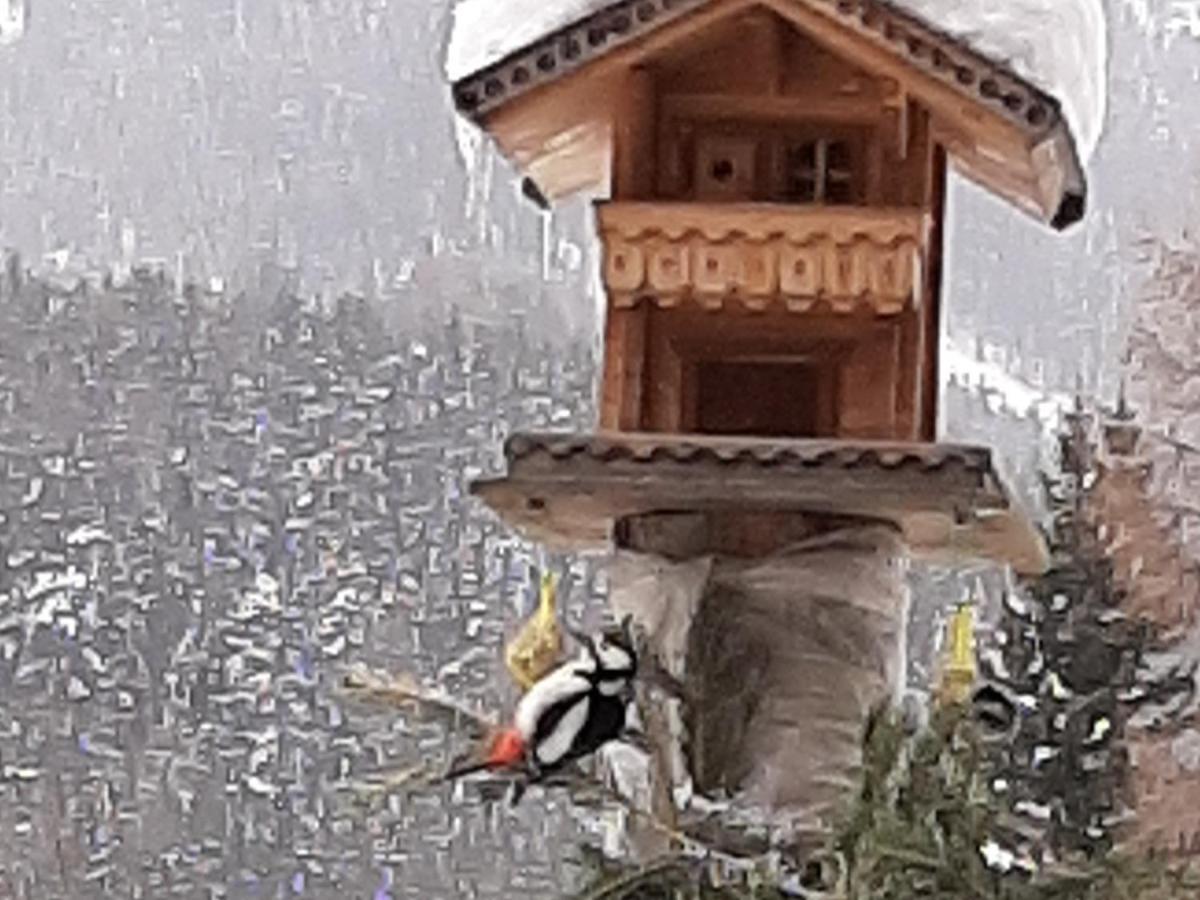 Pension Fuerhapter Mit Bio- Bauernhof Sankt Jakob in Defereggen Exterior foto