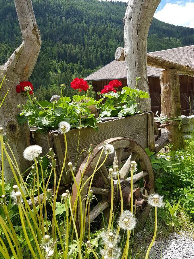 Pension Fuerhapter Mit Bio- Bauernhof Sankt Jakob in Defereggen Exterior foto