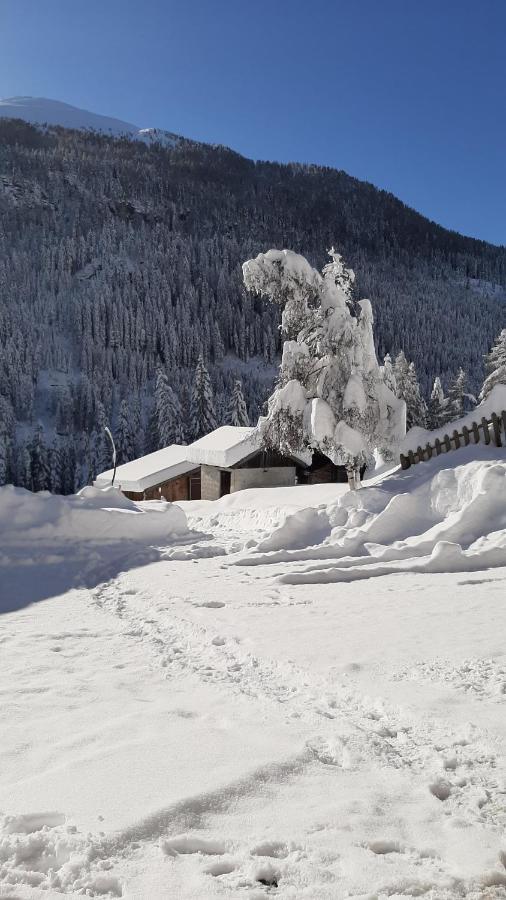 Pension Fuerhapter Mit Bio- Bauernhof Sankt Jakob in Defereggen Exterior foto